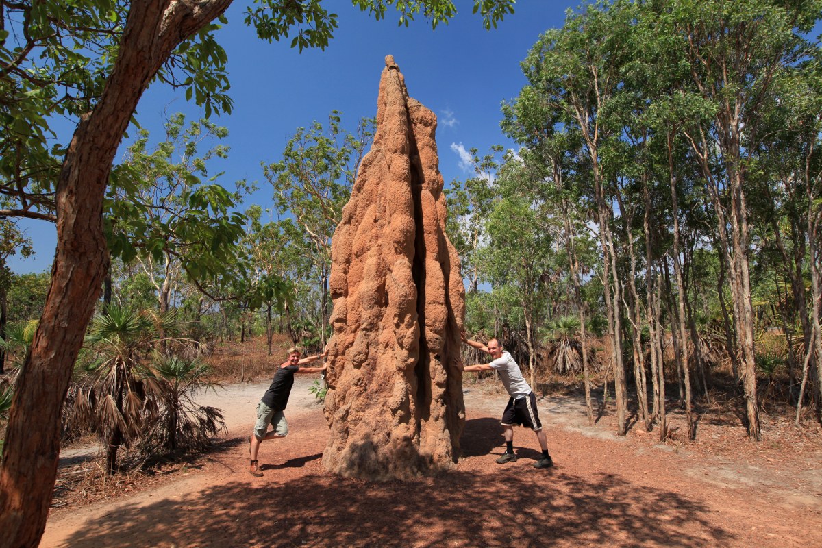 Australien in 100 Tagen - Bild 12