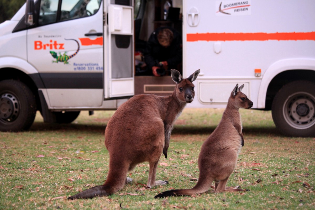 Australien in 100 Tagen - Bild 18