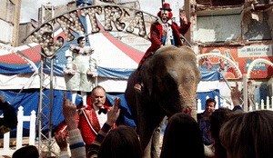 Mad Circus - Eine Ballade von Liebe und Tod - Bild 2