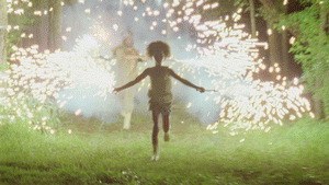 Beasts of the Southern Wild - Bild 1