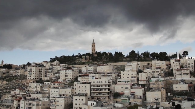 Blüten vom Ölberg - Bild 1