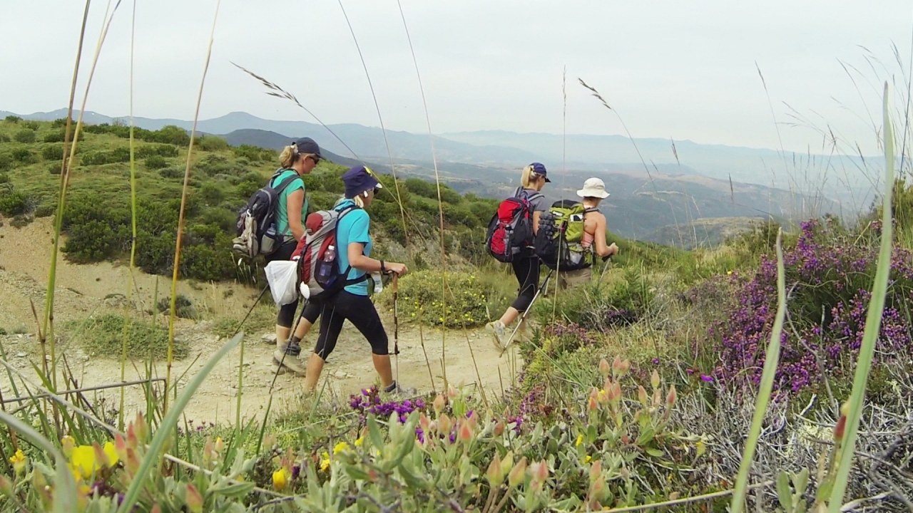 Camino de Santiago - Eine Reise auf dem Jakobsweg - Bild 2