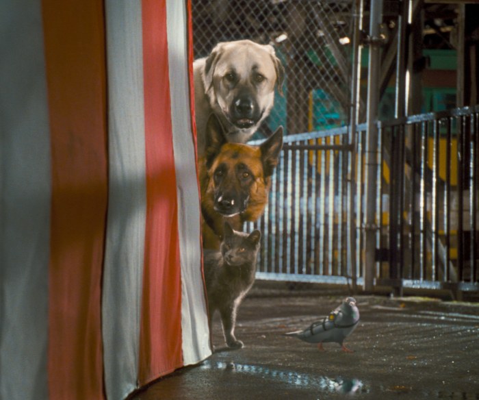 Cats & Dogs: Die Rache der Kitty Kahlohr (3D) - Bild 3