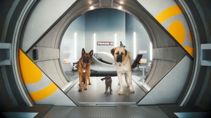 Cats & Dogs: Die Rache der Kitty Kahlohr (3D) - Bild 2