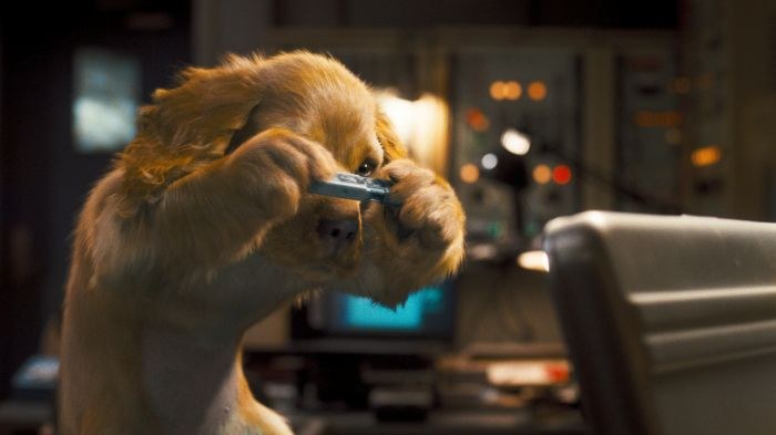 Cats & Dogs: Die Rache der Kitty Kahlohr (3D) - Bild 1