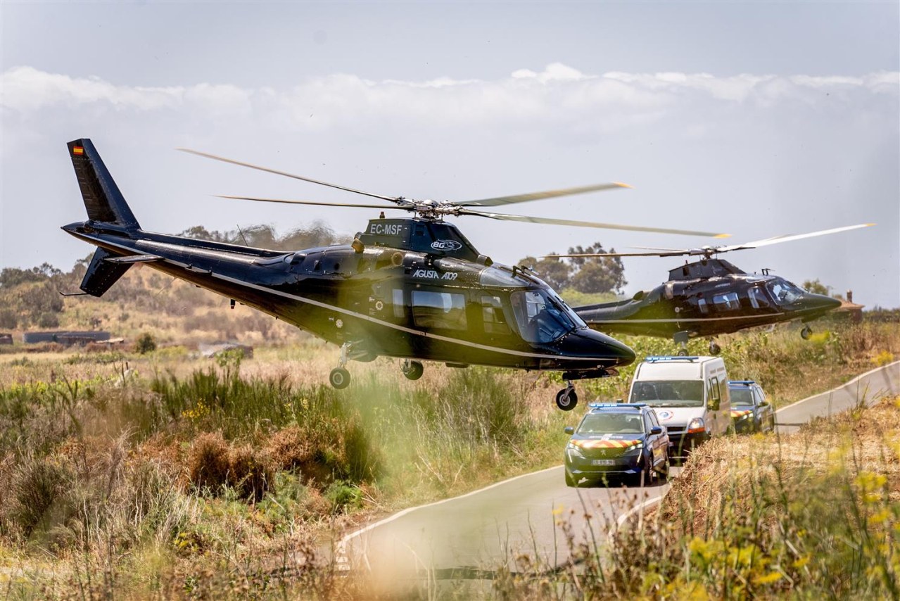 CRIMINAL SQUAD 2 WIKIPEDIA visual data 5