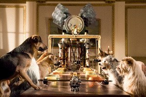 Das Hundehotel - Bild 2