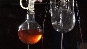 Das kreative Universum - Naturwissenschaft und Spiritualität im Dialog - Bild 1
