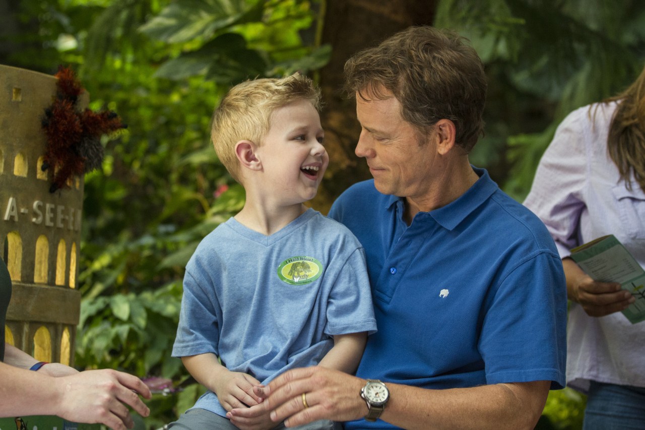 Den Himmel gibt's echt Cinestar