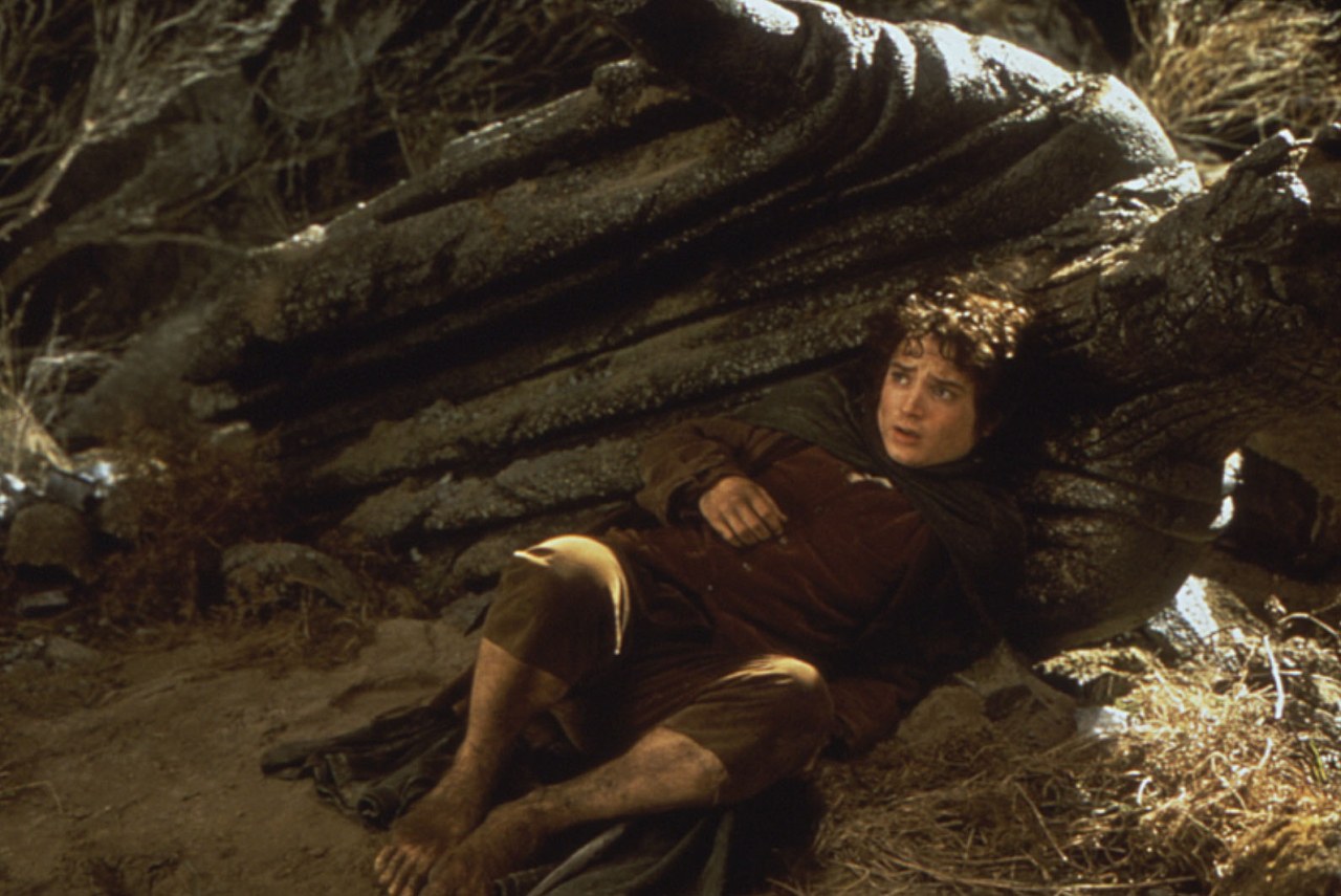 herr der ringe gefährten extended