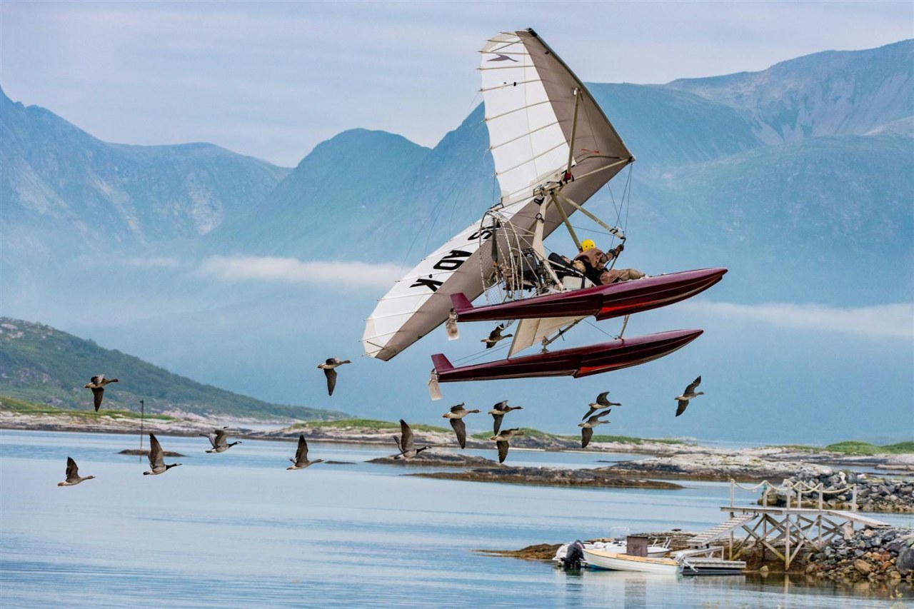 Der Junge und die Wildgänse Cinestar