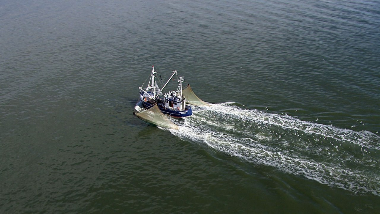 Die Elbe von oben - Bild 8