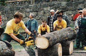 Die Könige der Nutzholzgewinnung - Bild 1