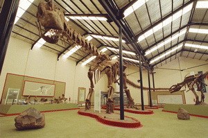Dinosaurier 3D - Giganten Patagoniens - Bild 1