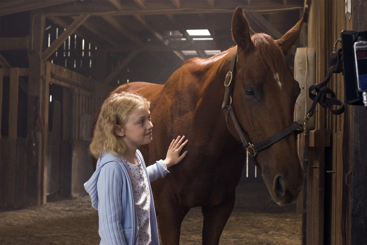 Dreamer Ein Traum Wird Wahr Ganzer Film Dreamer - Ein Traum wird wahr | Cinestar