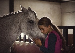 Ein Pferd für Klara - Bild 2