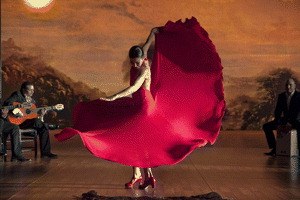 Flamenco, Flamenco - Bild 2