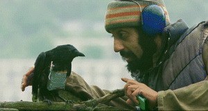 Four Lions - Bild 2