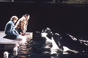Free Willy 2 - Freiheit in Gefahr - Bild 2