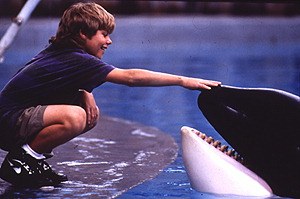 Free Willy - Ruf der Freiheit - Bild 1