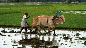 Good Food, Bad Food - Anleitung für eine bessere Landwirtschaft - Bild 1