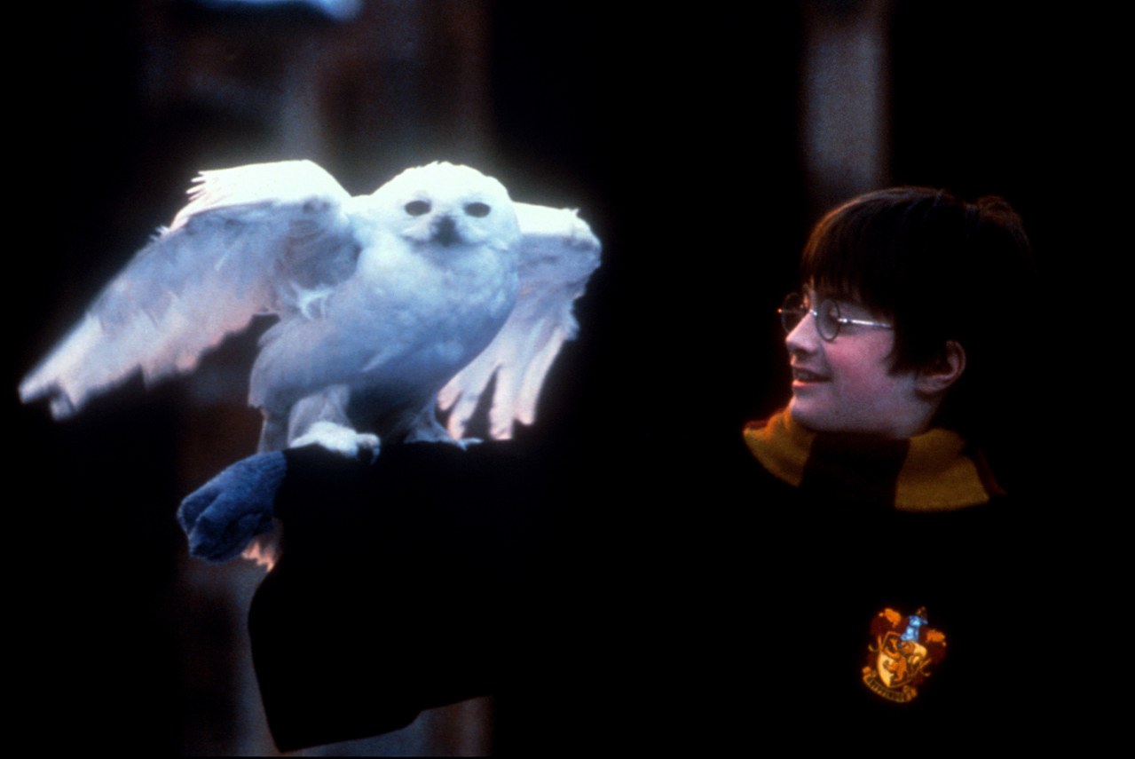 film harry potter und der stein der weisen