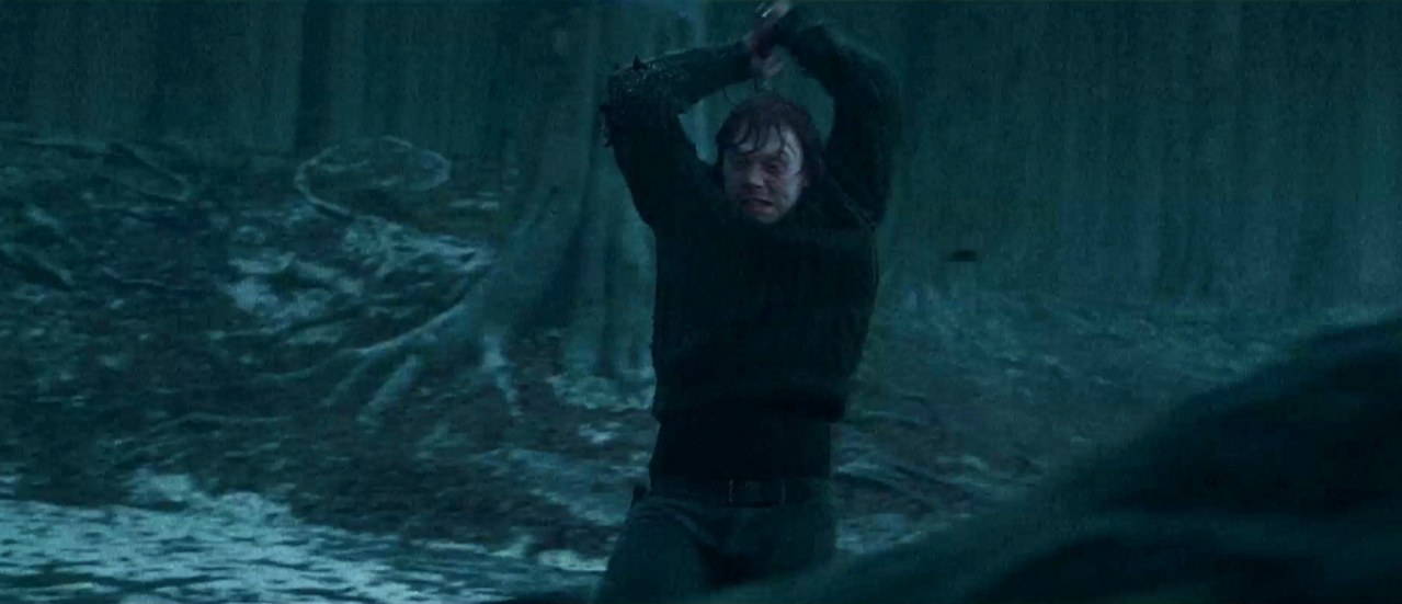 Harry Potter und die Heiligtümer des Todes - Teil 1 | Cinestar