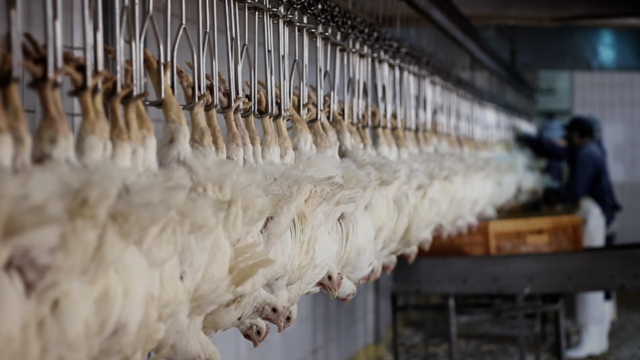 Hope For All - Bild 5