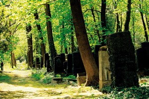 Im Himmel, unter der Erde - Der jüdische Friedhof Weißensee - Bild 1