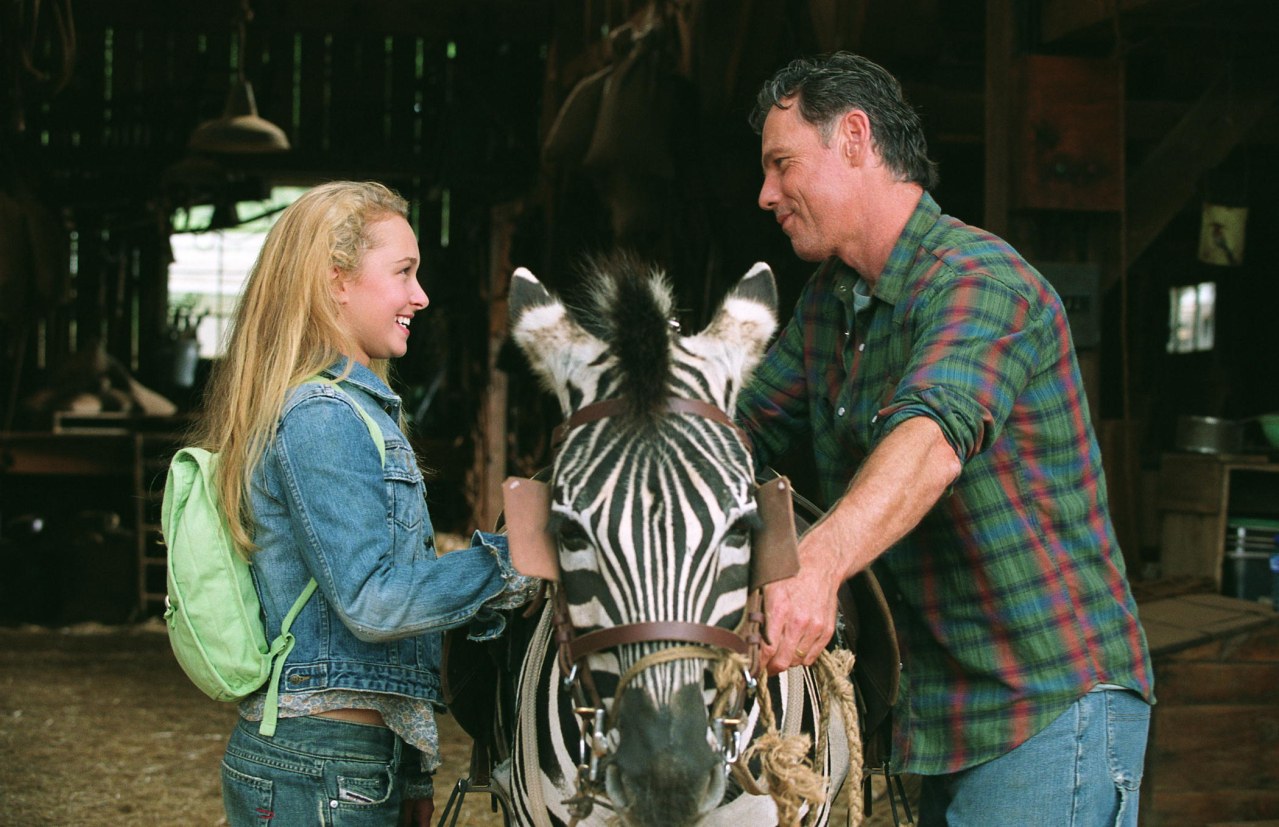 Stripes Im Rennstall Ist Das Zebra Los Ganzer Film Deutsch Im Rennstall ist das Zebra los! | Cinestar