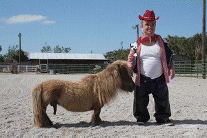 Jackass Nummer Zwei - Bild 1
