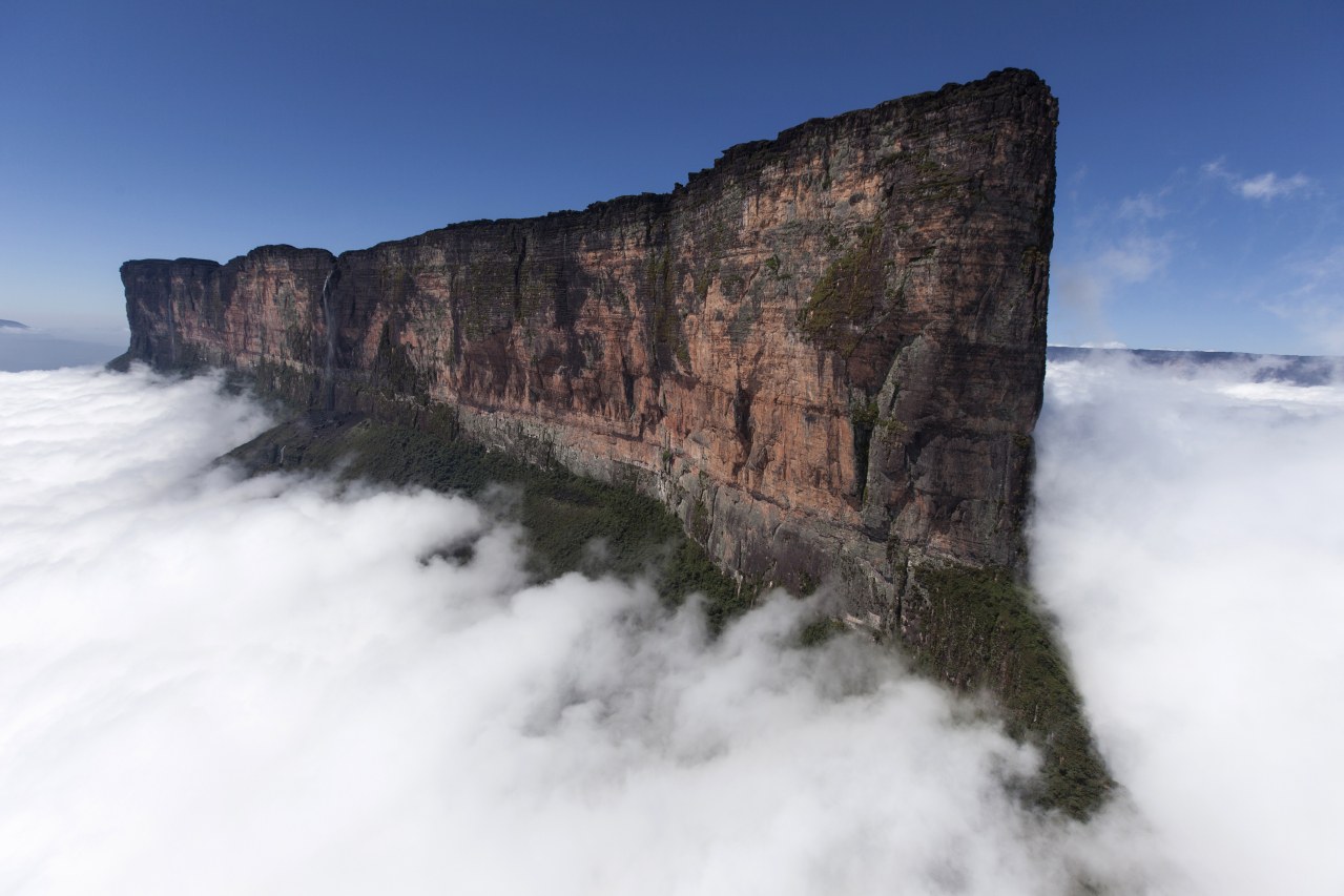 Jäger des Augenblicks - Ein Abenteuer am Mount Roraima - Bild 4