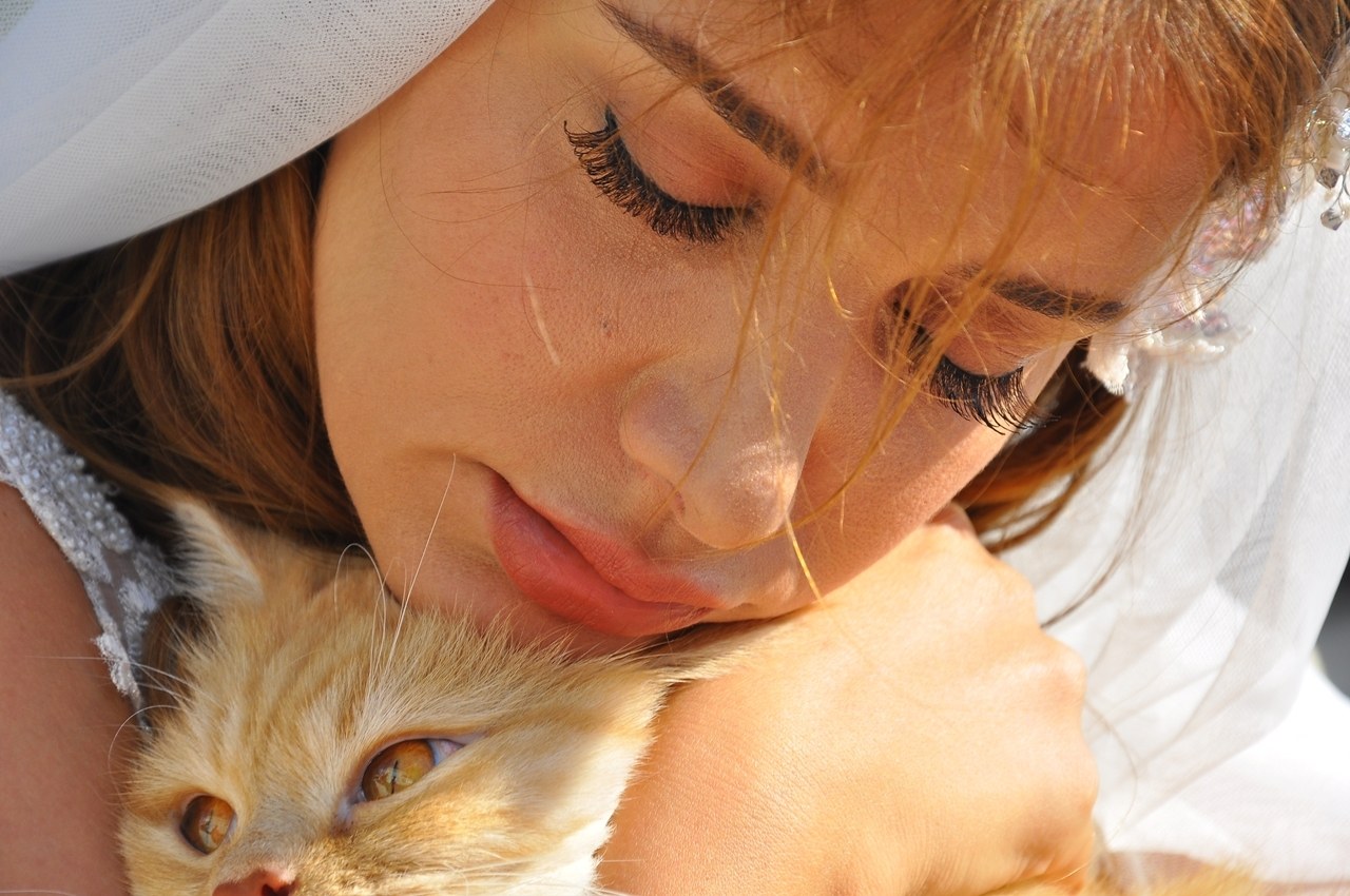 Kedi Özledi - Bild 5