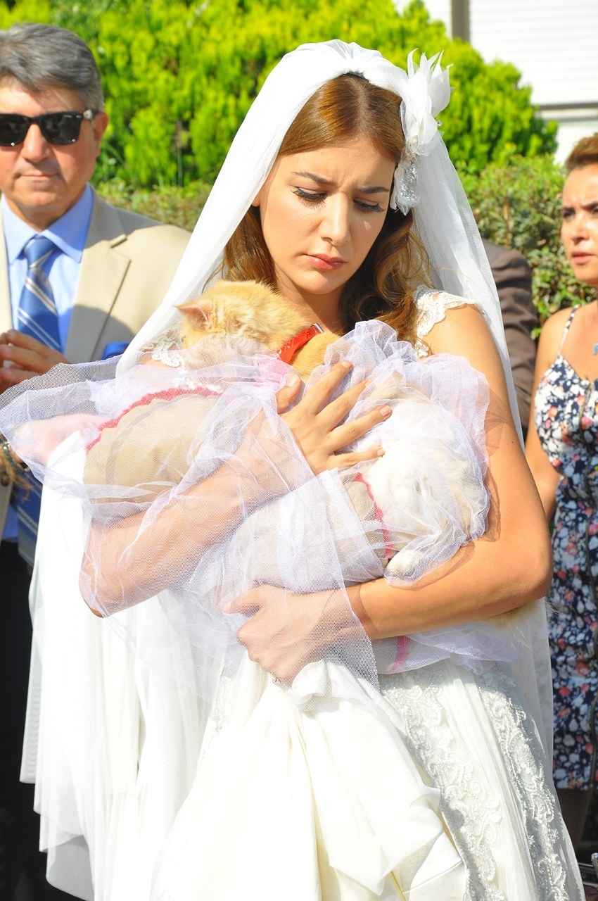 Kedi Özledi - Bild 7