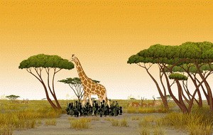 Kiriku und die wilden Tiere - Bild 1