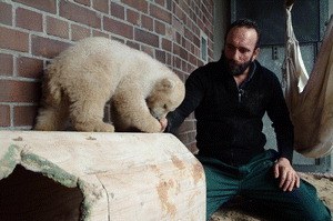 Knut und seine Freunde - Bild 1