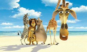 Madagascar - Bild 2