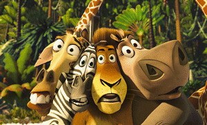 Madagascar - Bild 1