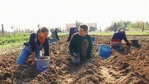 Menschen, Träume, Taten - Bild 2