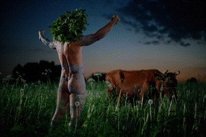 Midsummer Madness - Bild 1