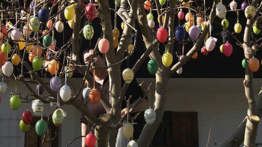 Nirgendland - Bild 2