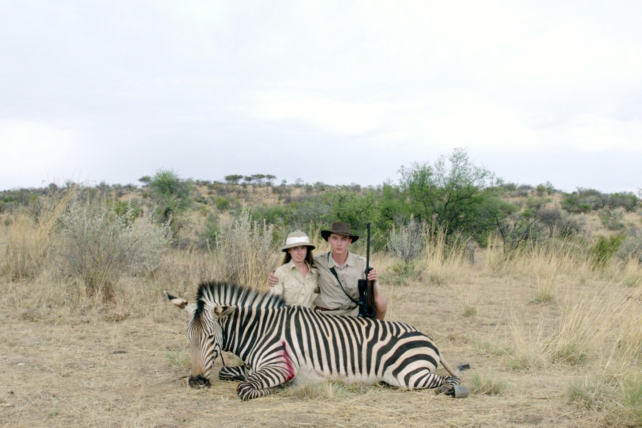 Safari - Bild 1