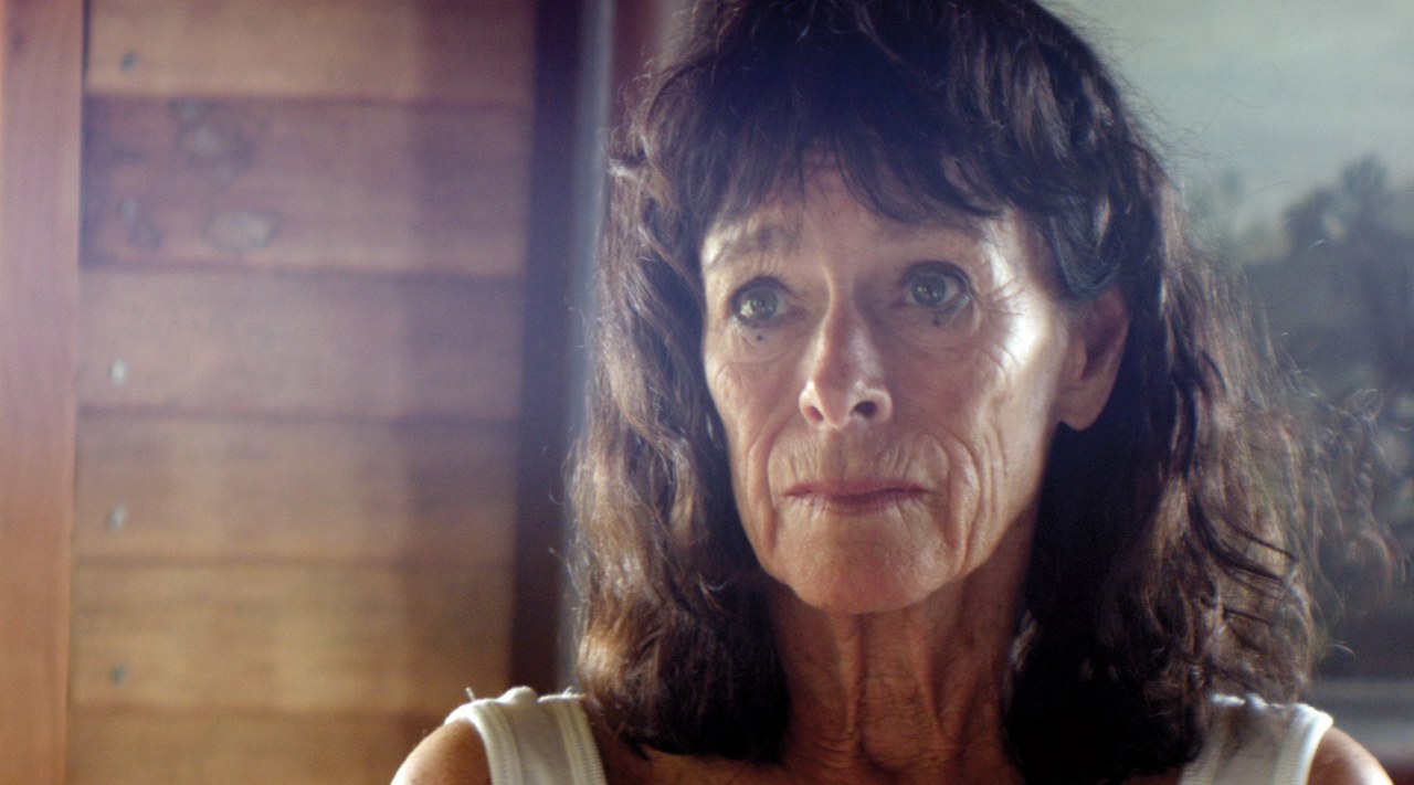 Sand Dollars - Bild 2