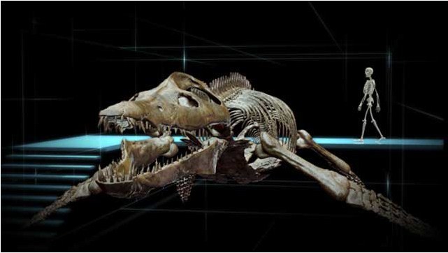 Sea Rex - Reise in die Zeit der Dinosaurier - Bild 3