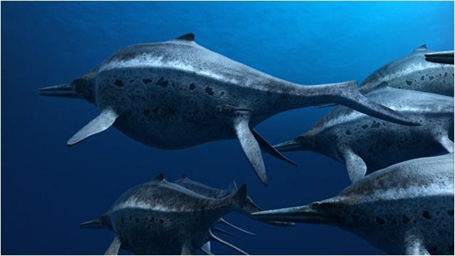 Sea Rex - Reise in die Zeit der Dinosaurier - Bild 4