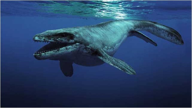 Sea Rex - Reise in die Zeit der Dinosaurier - Bild 6