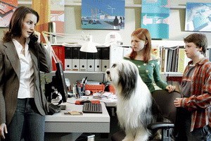 Shaggy Dog - Hör mal, wer da bellt - Bild 2