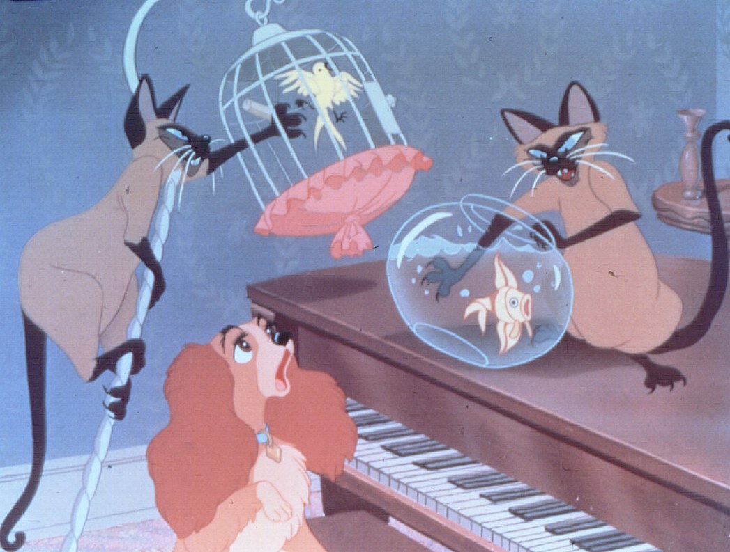 Susi Und Strolch Siamesen Katzen Song Deutsch Susi und Strolch | Cinestar