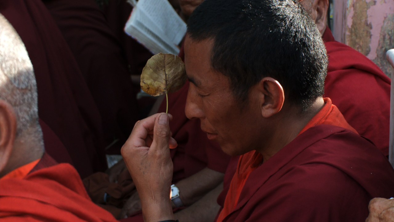 The End of Time Cinestar