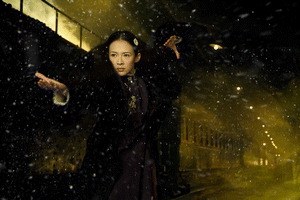 The Grandmaster - Bild 1
